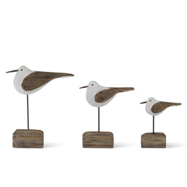 Seagull on Driftwood