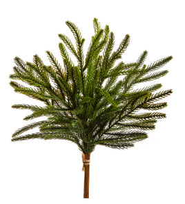 18" Balsam Fir Bundle